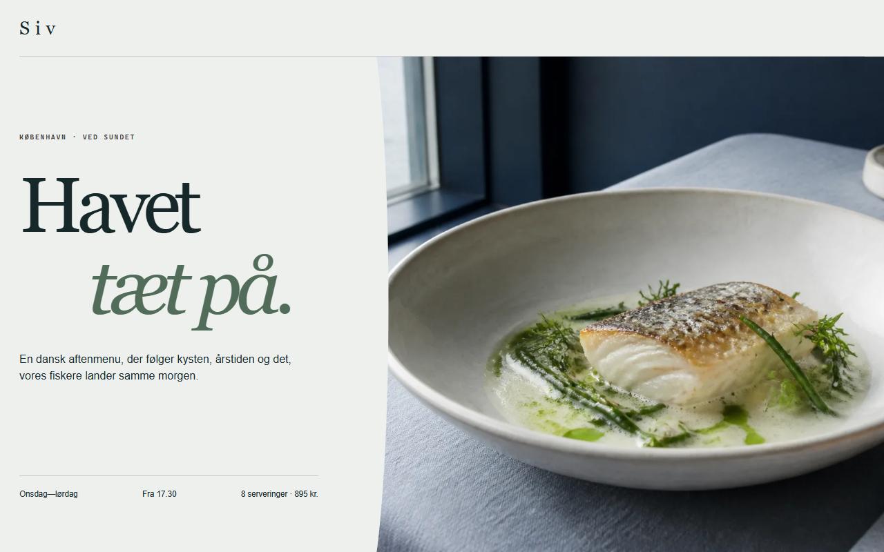 Forsiden på designet Siv